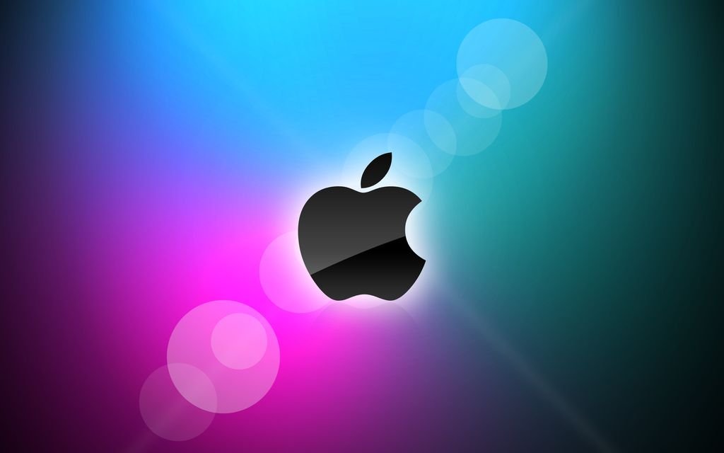 تابي وتمارا